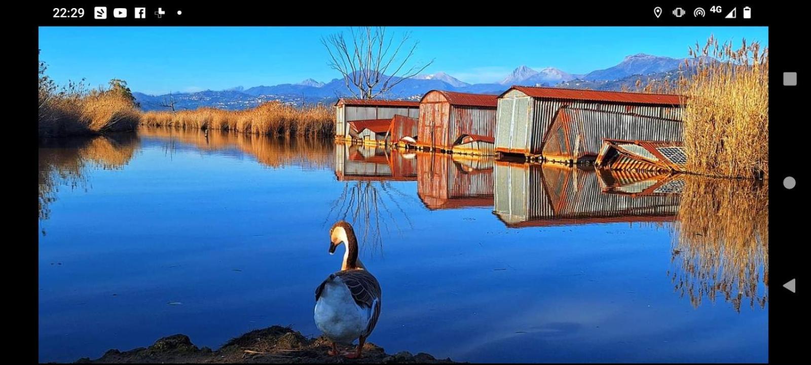Casa Vacanze Toscana,Lago Di Massaciuccoli Exterior foto